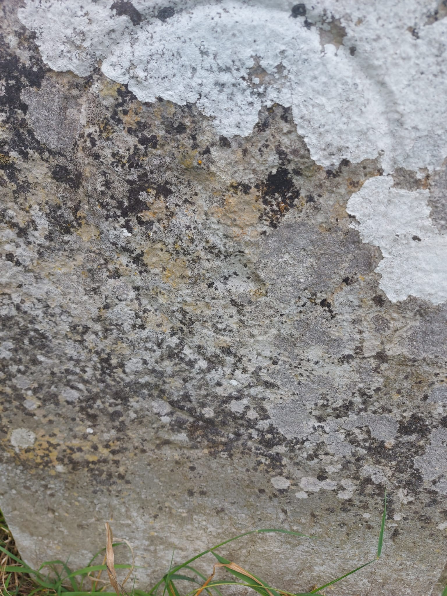 Historical documentation view